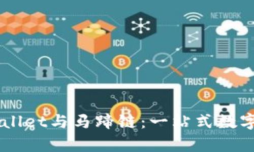 深入解析TPWallet与马蹄链：一站式数字资产管理平台