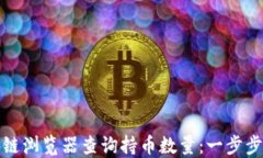 如何使用区块链浏览器查询持币数量：一步步教