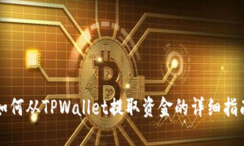 如何从TPWallet提取资金的详细指南