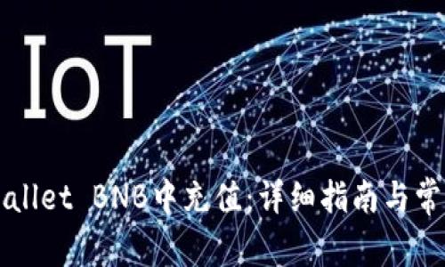 如何在TPWallet BNB中充值：详细指南与常见问题解答