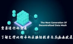 需要进行的优质了解支撑比特币的区块链技术及