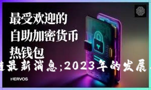 柚子区块链最新消息：2023年的发展与趋势分析