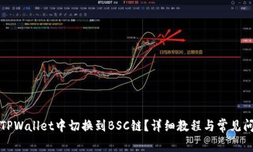 如何在TPWallet中切换到BSC链？详细教程与常见问题解答
