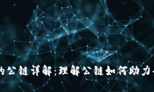 TPWallet上的公链详解：理解公链如何助力去中心化应用