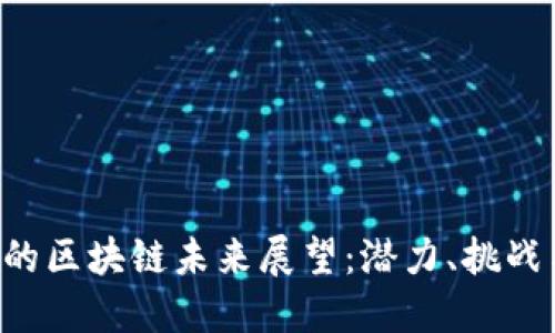 DOT币的区块链未来展望：潜力、挑战与机遇