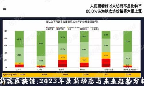 
新高区块链：2023年最新动态与未来趋势分析